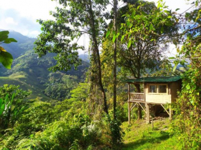 Casa Del Árbol Con Hermosa Vista Pijao Quindío